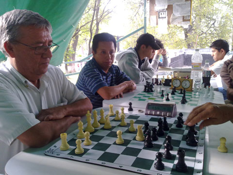 Representación Veracruzana.